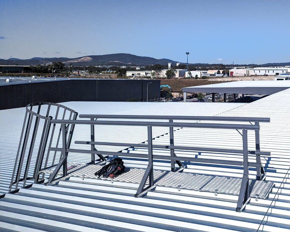 Roof Access System With Caged Ladder