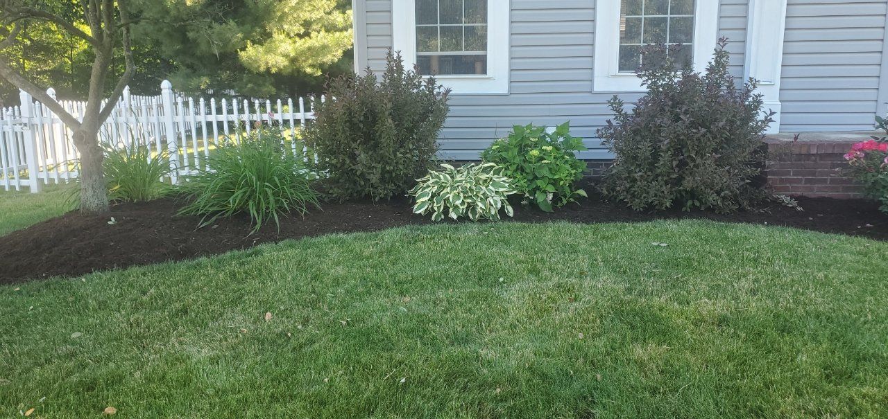 Landscaping 2