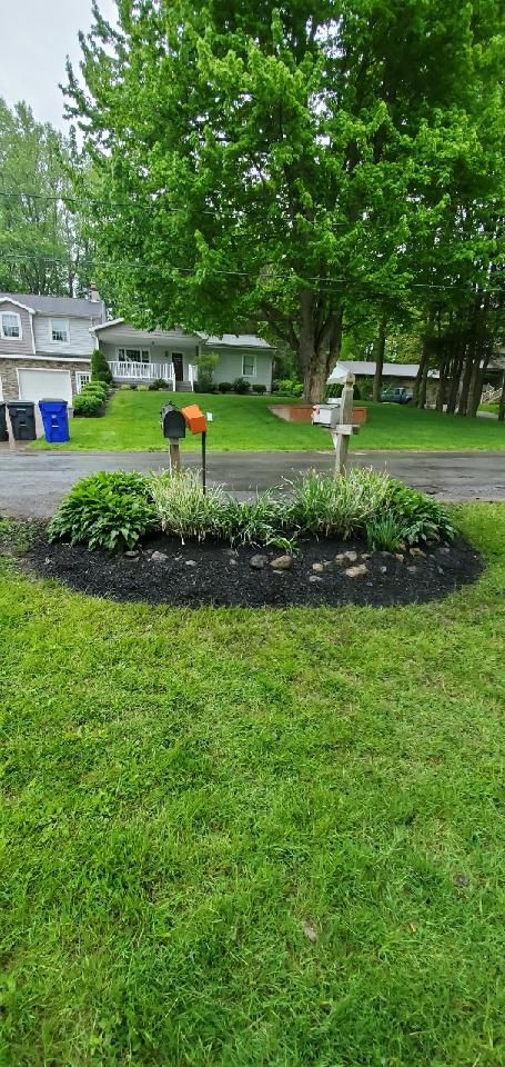 Landscaping 3