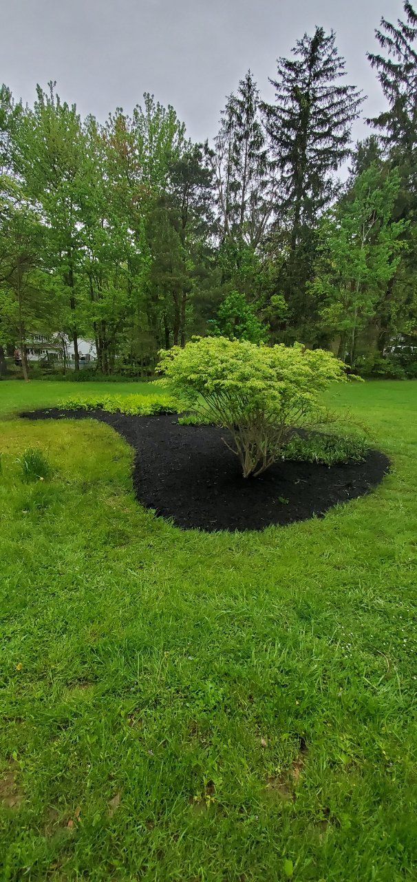 Landscaping 4