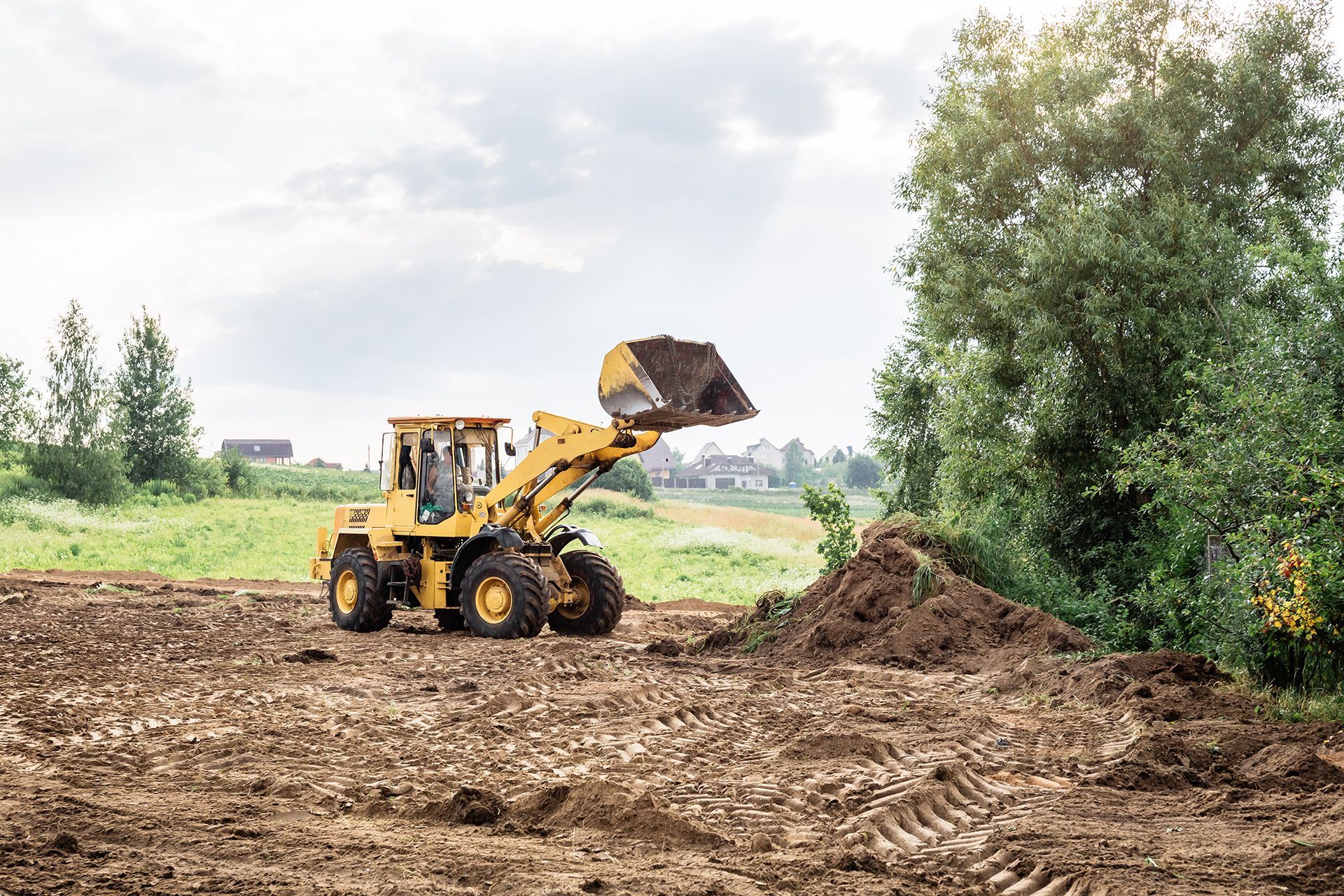 Comprehensive Land Clearing