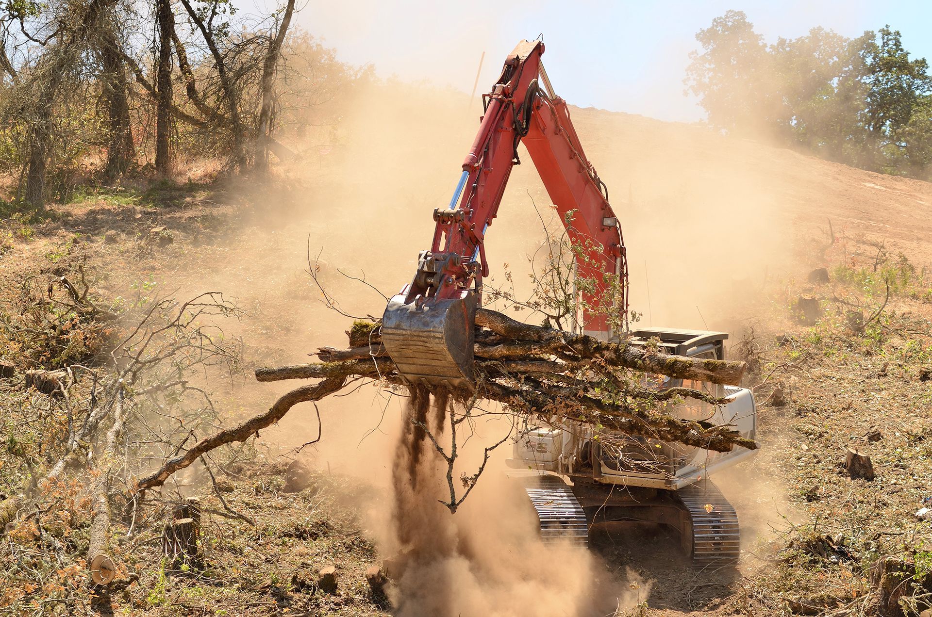 professional land clearing services