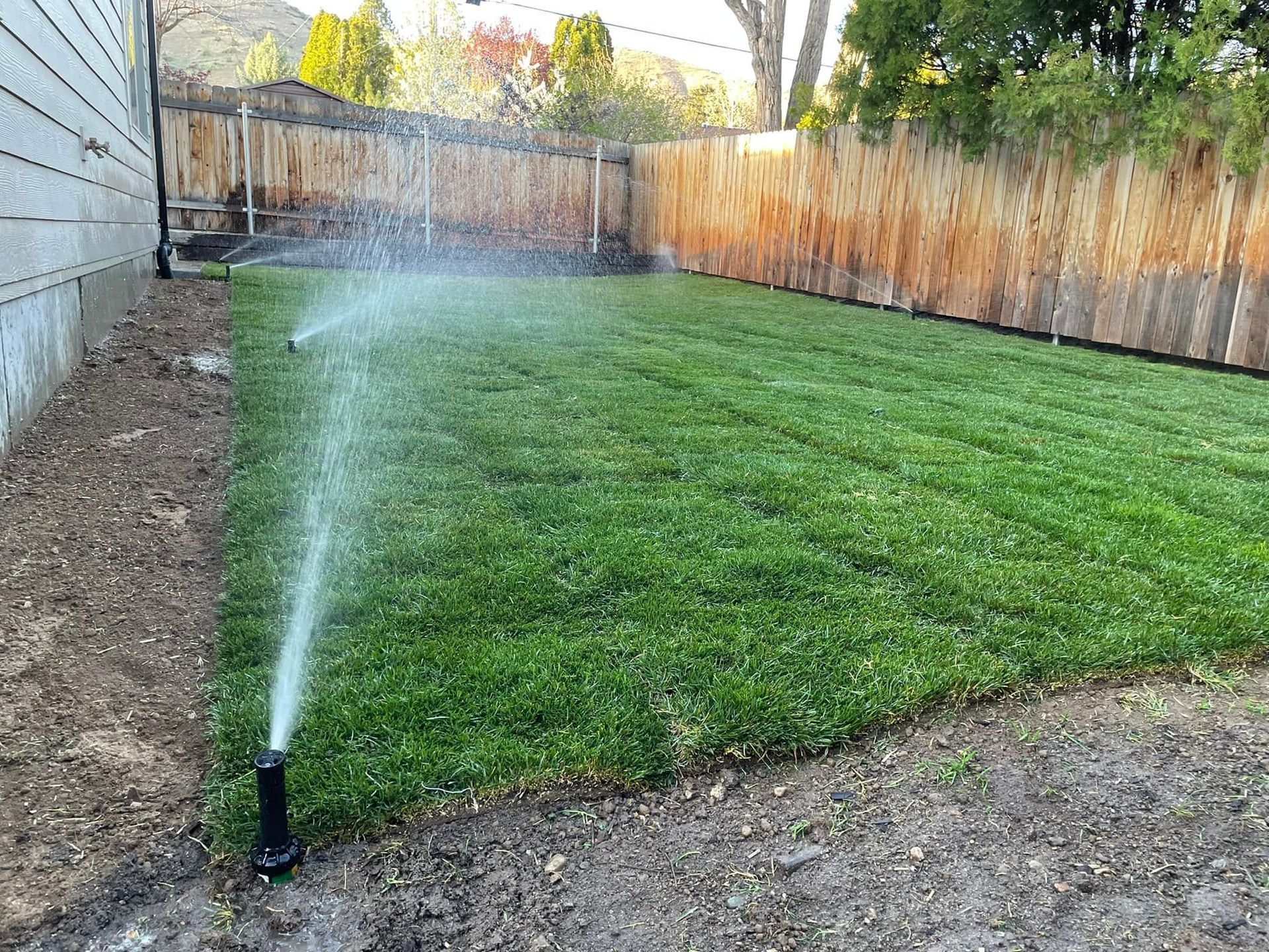 Sprinkler spraying water on a green lawn beside a house and wooden fence