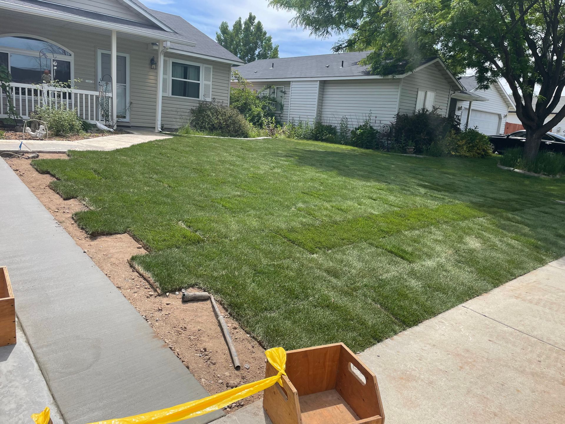 Backyard lawn beside a house with a concrete patio and a small tree