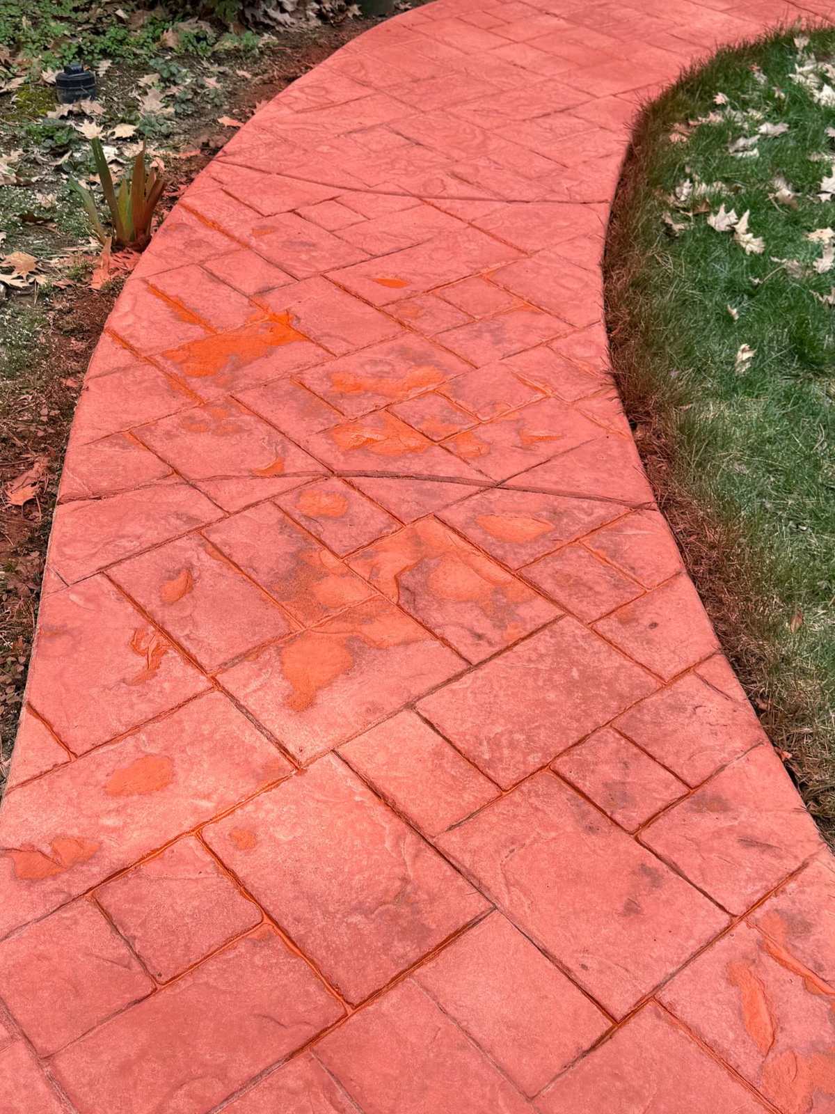Curved red brick walkway beside green grass with scattered leaves
