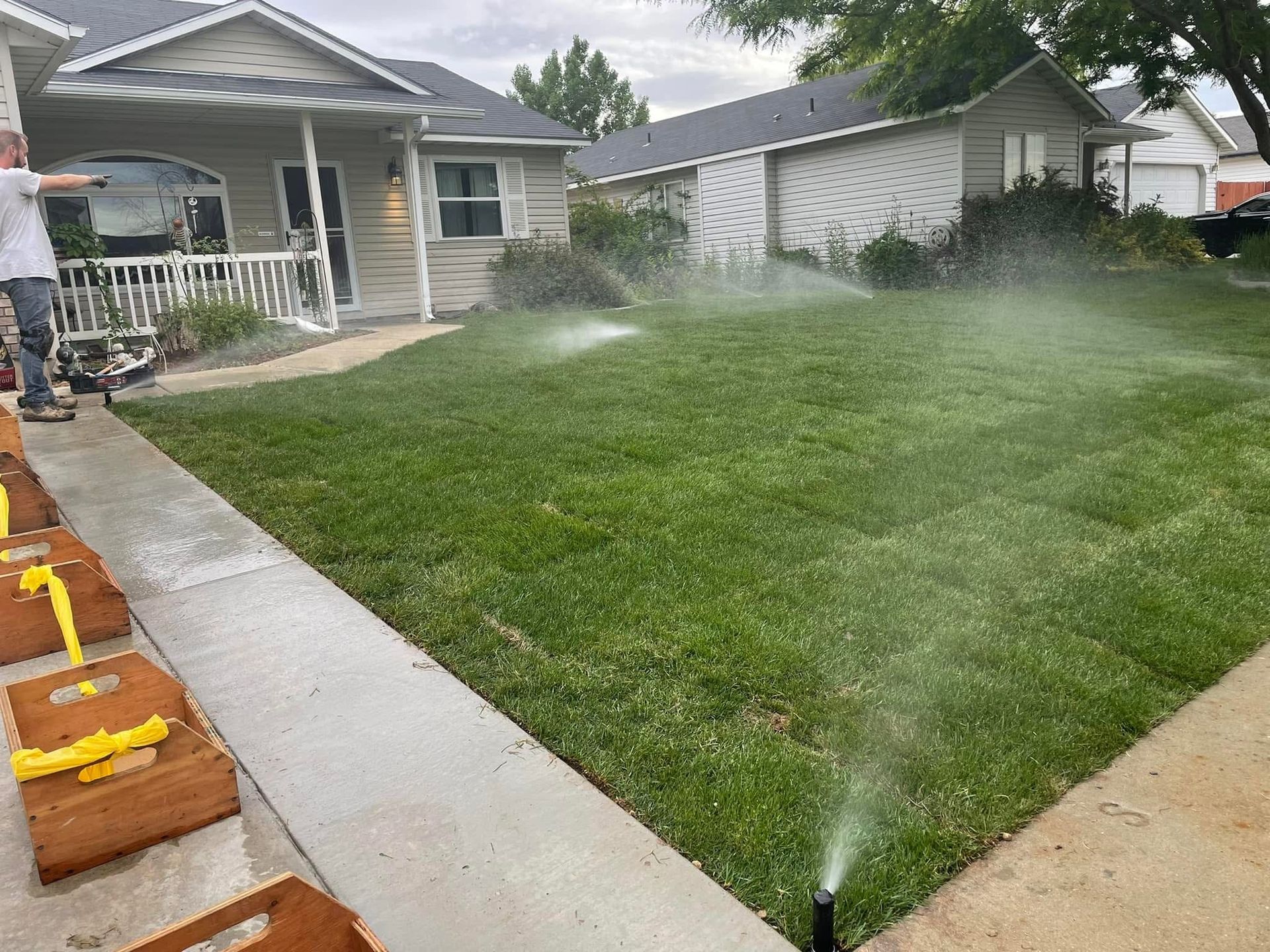 Sprinklers watering a green front lawn beside a house and sidewalk