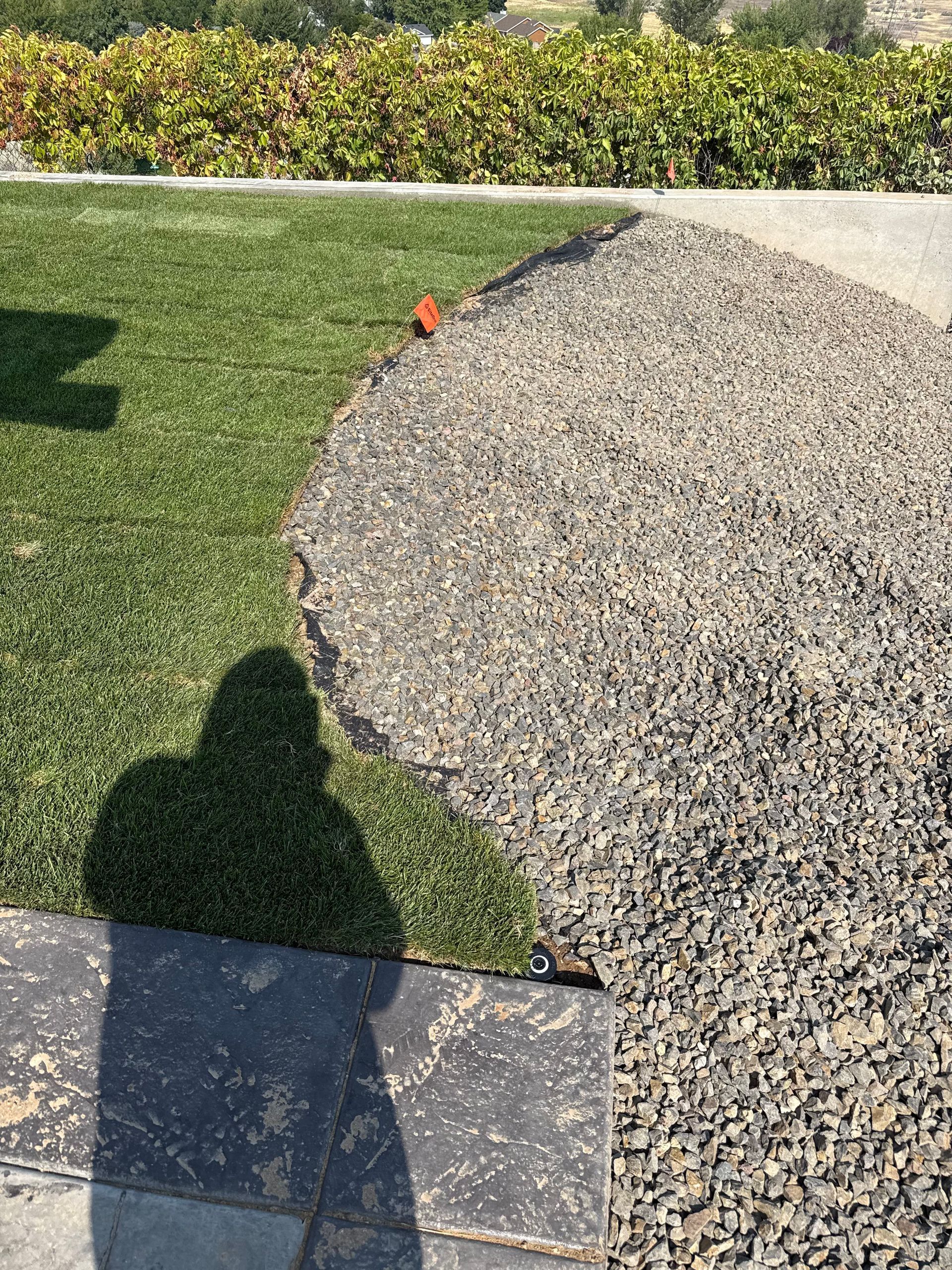 Landscaped yard with grass, gravel bed, bushes, and a small orange object near the path
