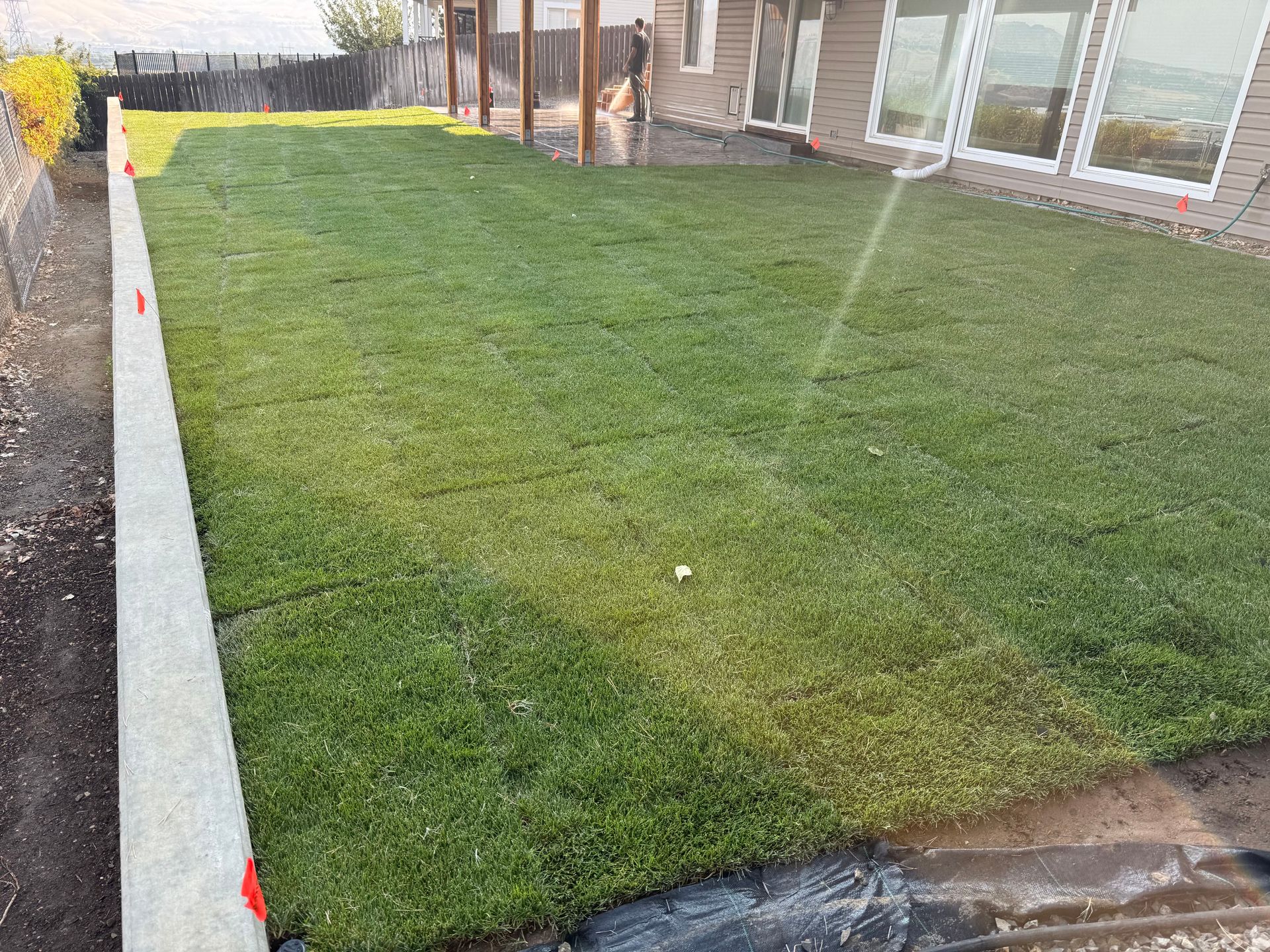 Freshly laid green sod in a backyard beside a concrete edging and house windows