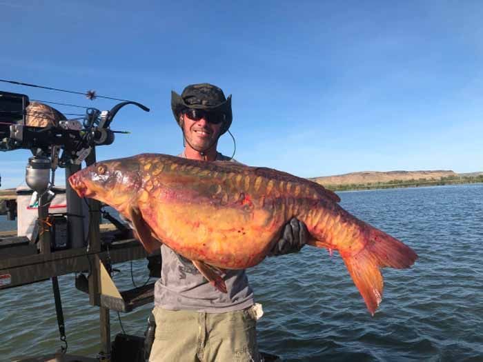 A man is holding a large fish on a boat.