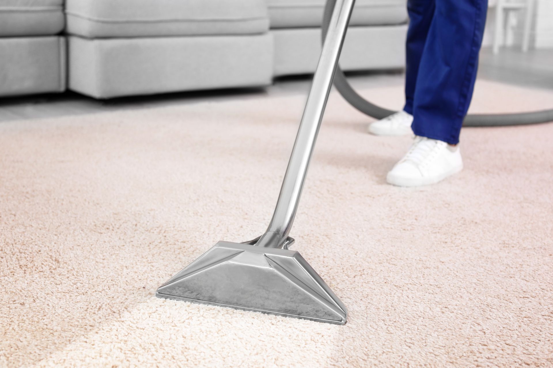 A worker is cleaning a rug.