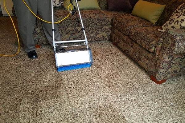 Person cleaning carpet with a machine in front of a patterned sofa.