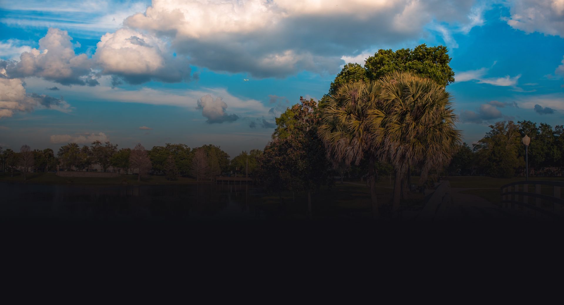 Sunlit mangrove trees beside dark water under a blue sky with clouds | Mechanic On Duty CB LLC