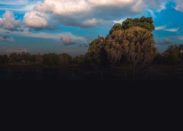Cloudy sky over a dark marsh, with a sunlit cluster of trees on the right. | Mechanic On Duty CB LLC