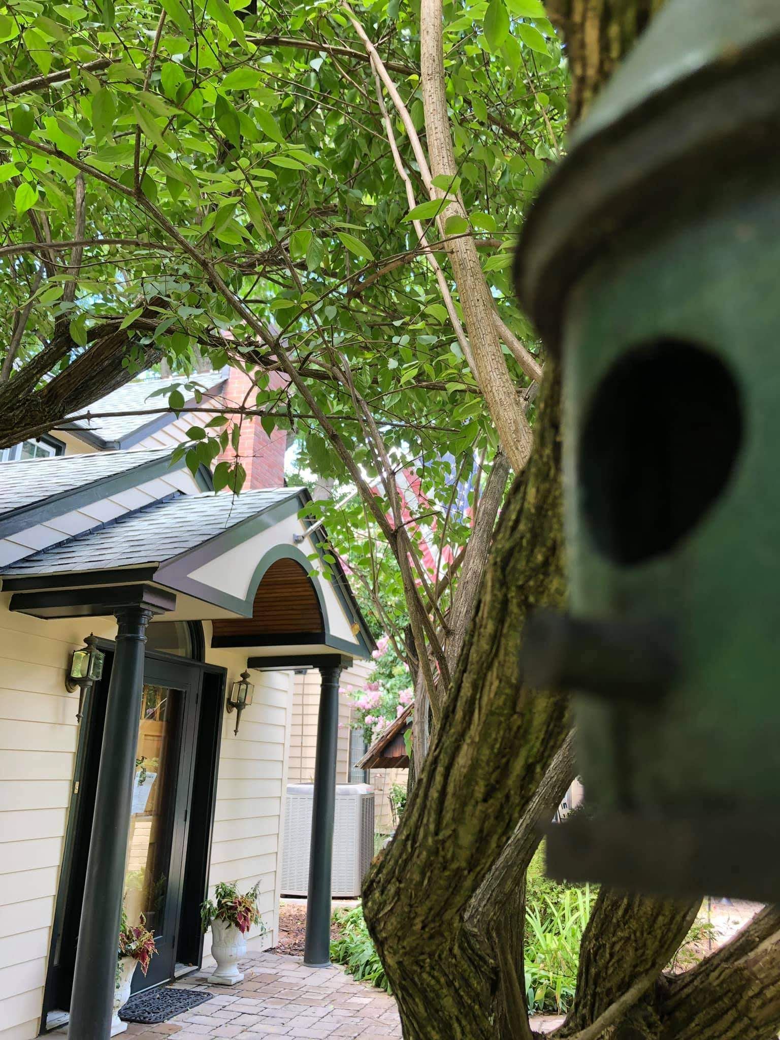 Tree and bird feeder beside a house porch, with green leaves in the foreground.
