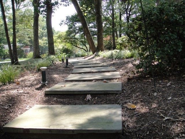 Wooden steps leading up a wooded hillside trail with trees and shrubs
