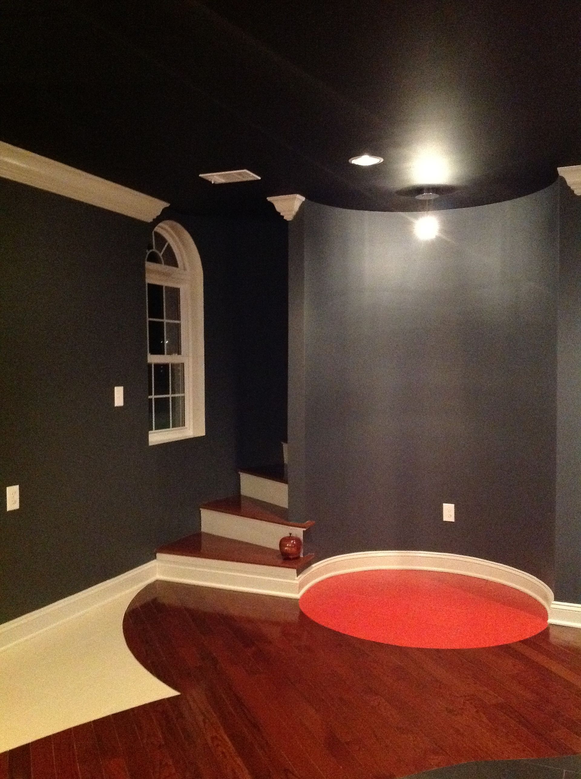 Empty dark room with dark walls, arched window, hardwood floor, and a red circular rug near steps.