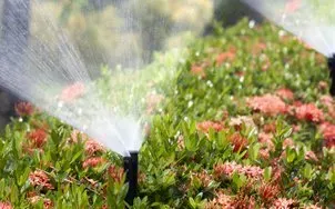 Lawn Sprinker | Brownstown, MI | Absolute Quality Lawn Sprinklers Lawn Sprinker | Brownstown, MI | Absolute Quality Lawn Sprinklers
