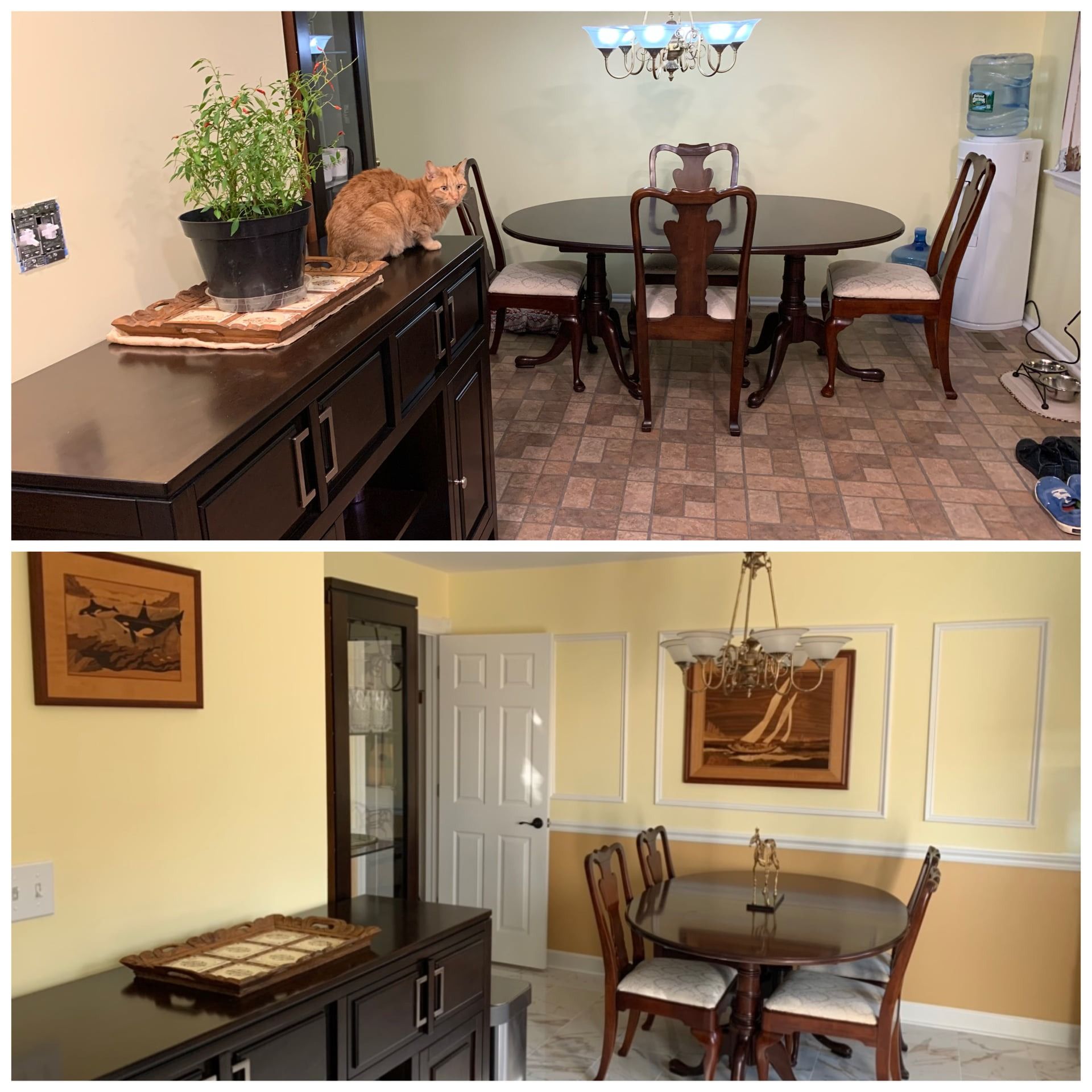 Two dining room scenes: top view with cat on a dark cabinet, table with chairs; bottom view with similar setup, yellow walls.