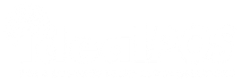 Idealpos logo white