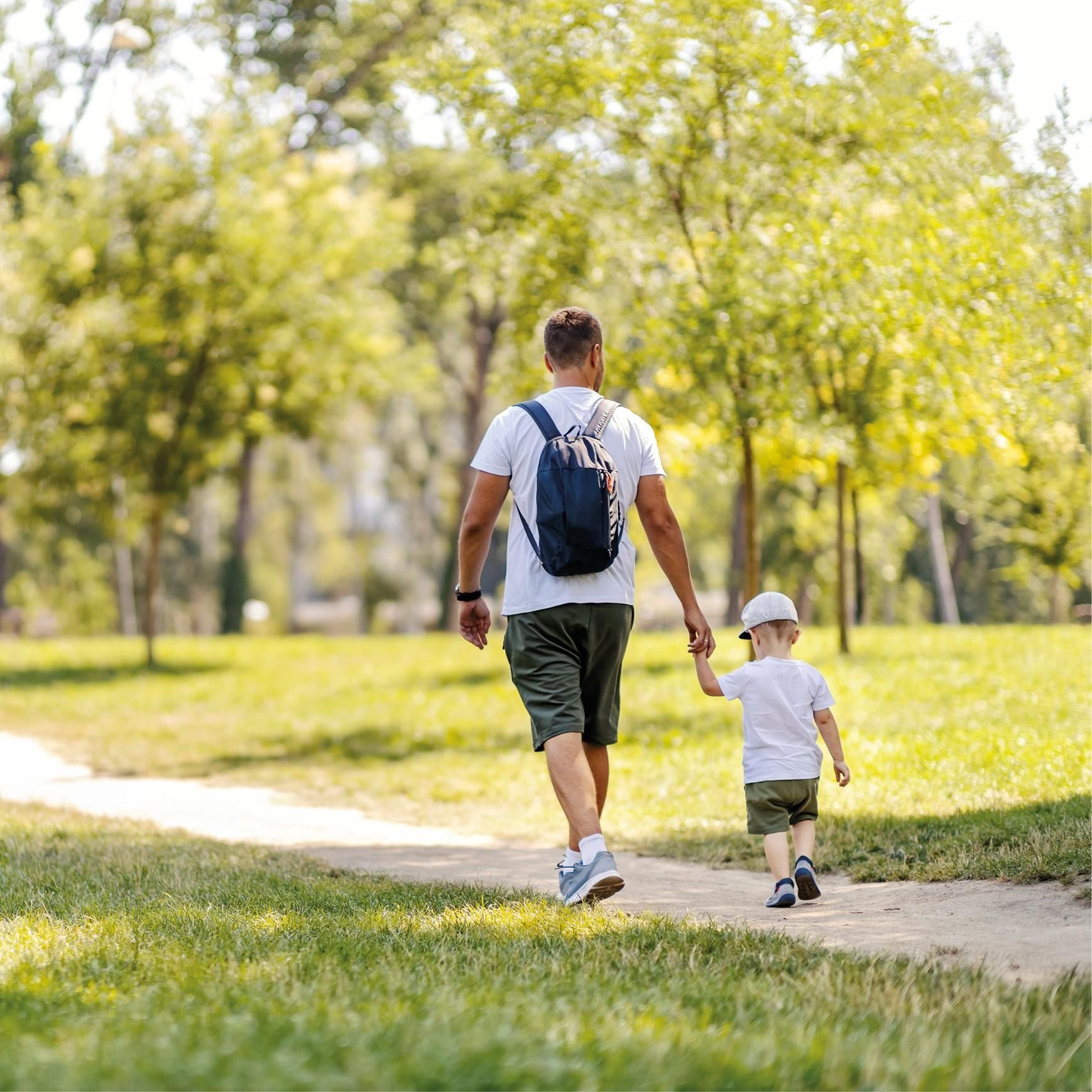 Family Law — Pittsburgh, PA — Covelli & Piscione Law Offices, P.C