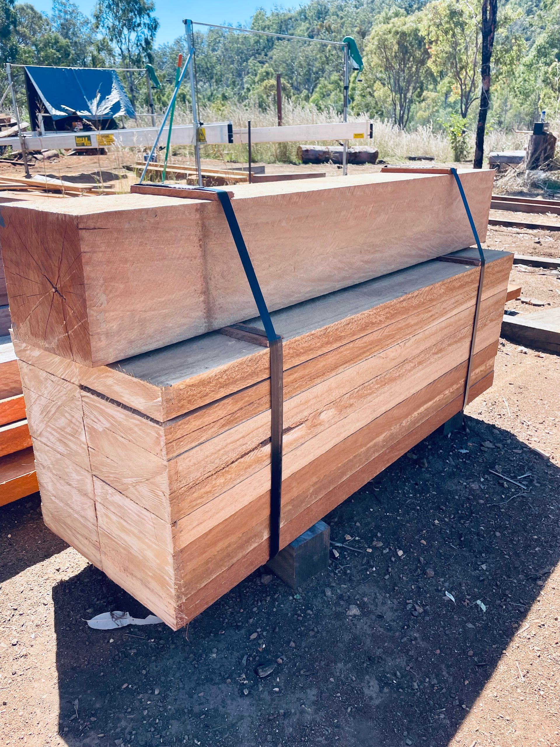 A stack of long, light-brown wooden beams held together by black straps, resting on concrete blocks in a forest setting. — LS Plant Hire in Calliope, QLD