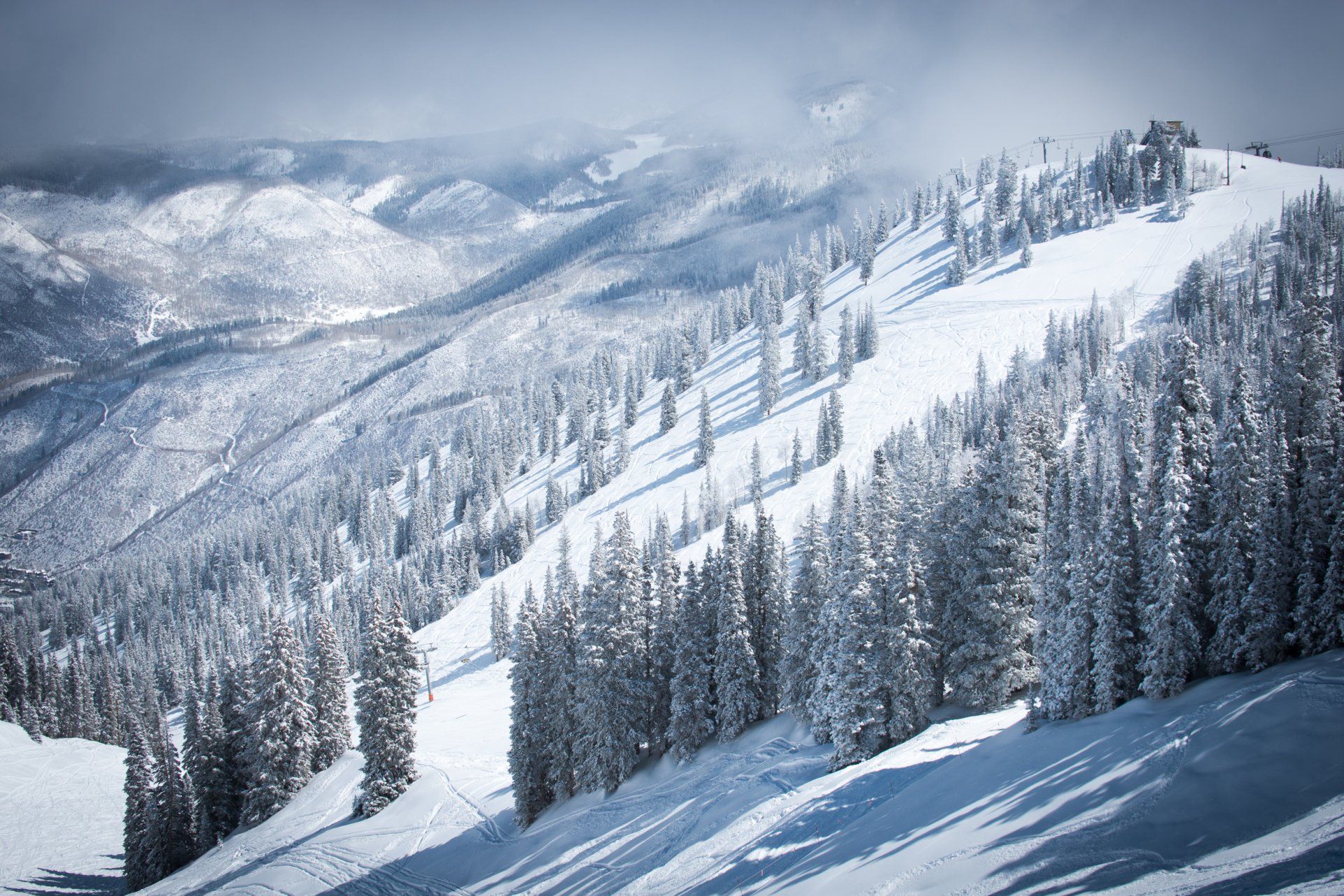 Snow-covered mountain slope with pine trees, ski trails and faint sky with hills in the background.