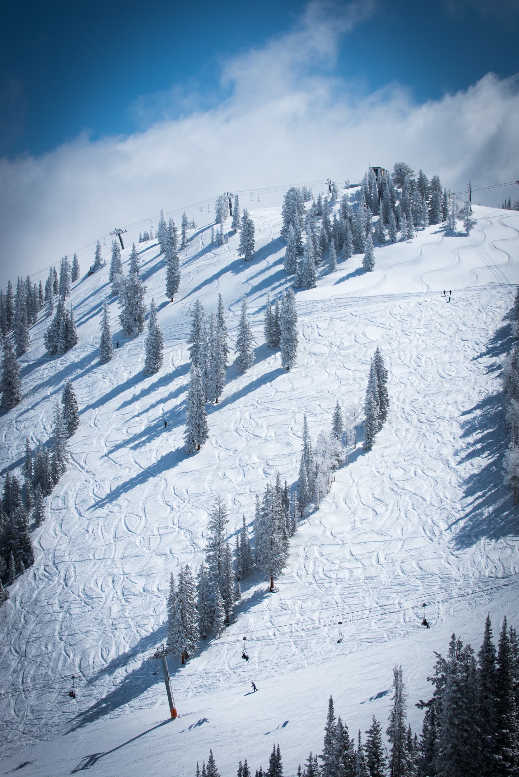 Snow-covered mountain slope with scattered snow-dusted trees. Sunny day with shadows and blue sky.