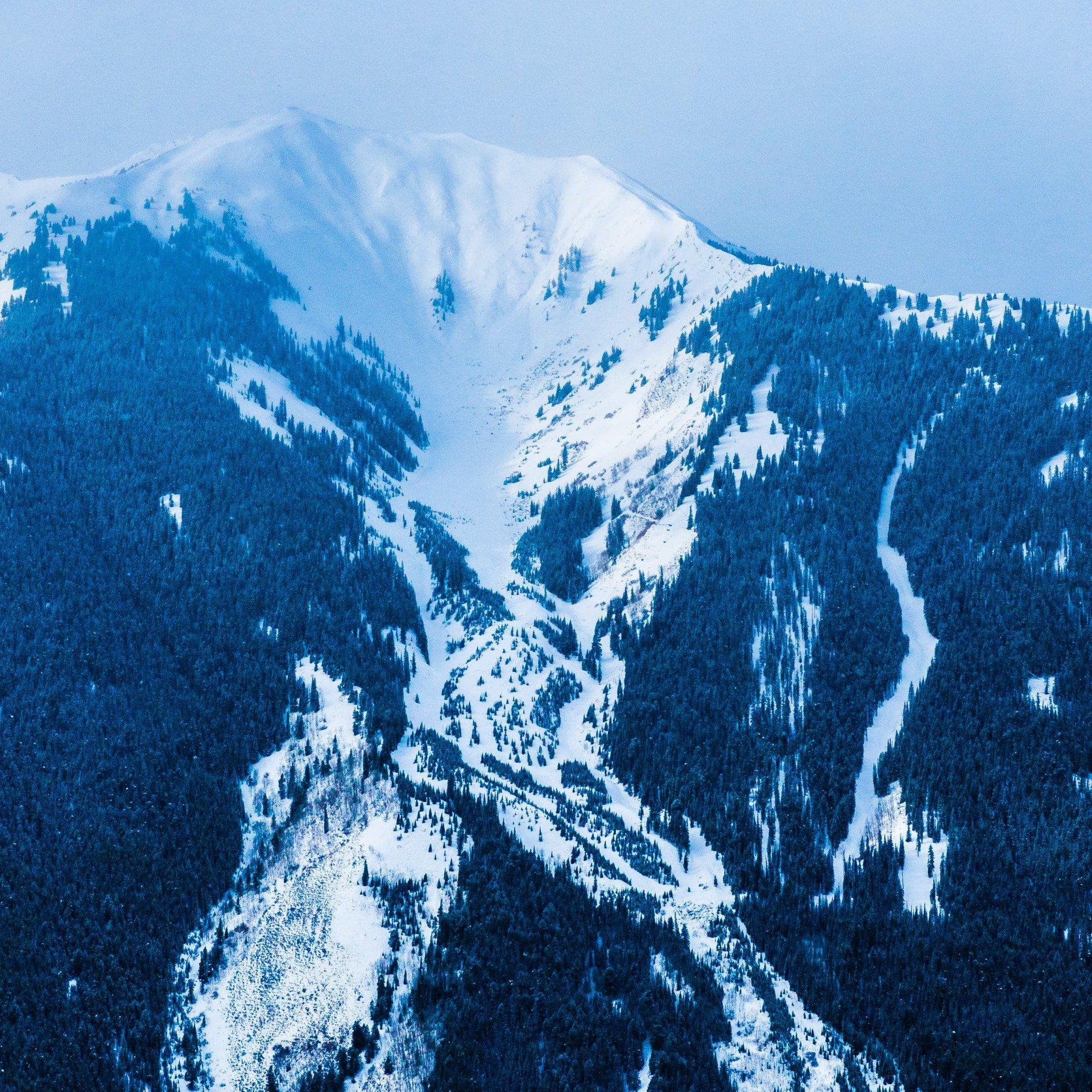 Snow-covered mountain with dark evergreen trees. Some trails of snow extend down the slopes.