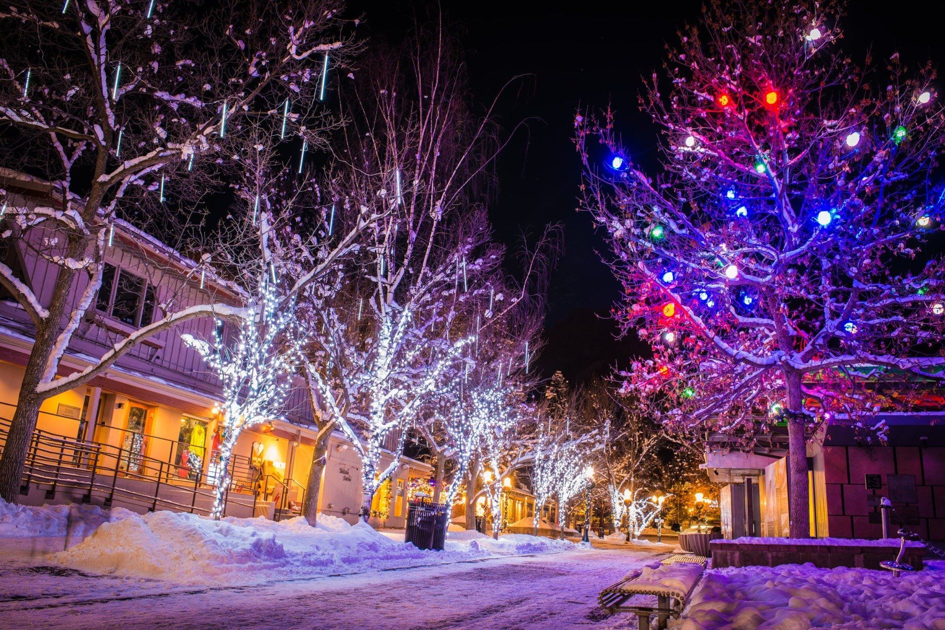 Snowy street at night, trees lit with white and colorful Christmas lights.