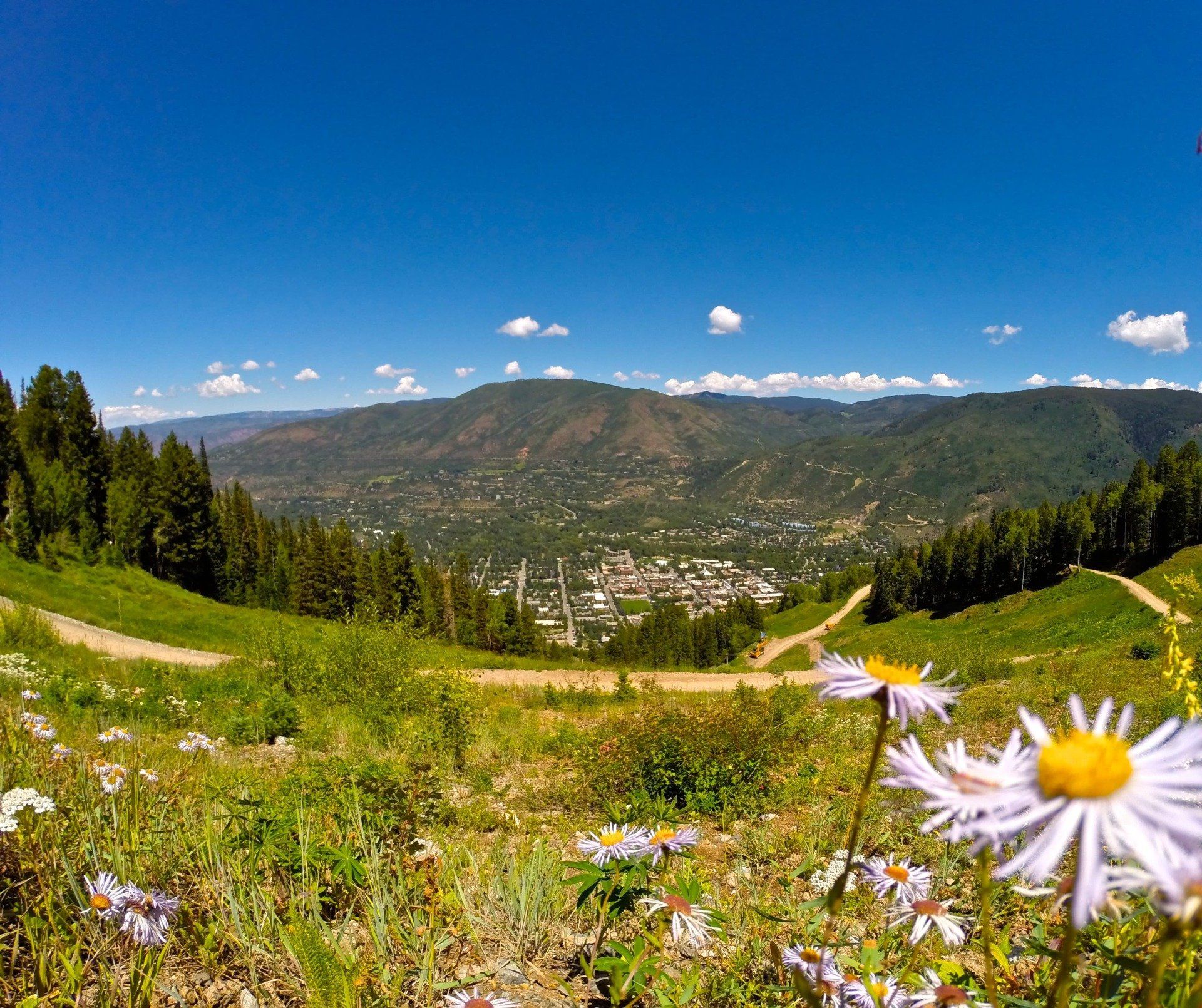 Green hillside with wildflowers overlooking a town nestled in a valley, under a bright blue sky.