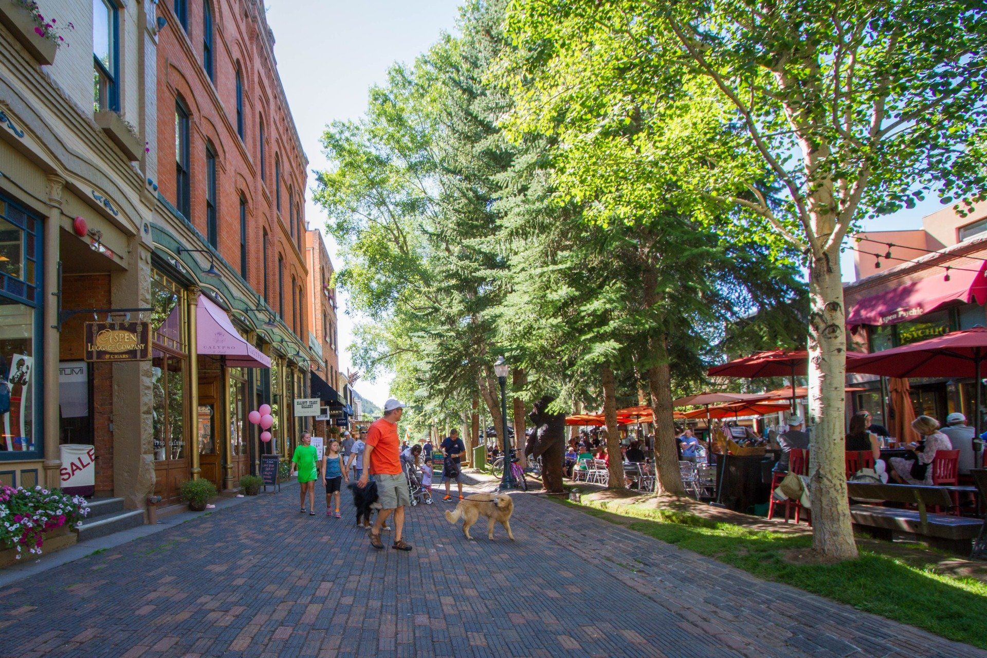 Cobblestone street lined with shops, restaurants, and trees; people walk with a dog on a sunny day.