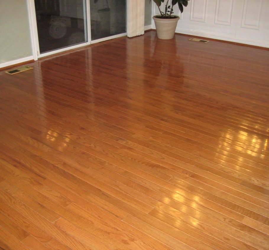Empty room with shiny hardwood floor, sliding glass door, white closet doors, and a potted plant in the corner