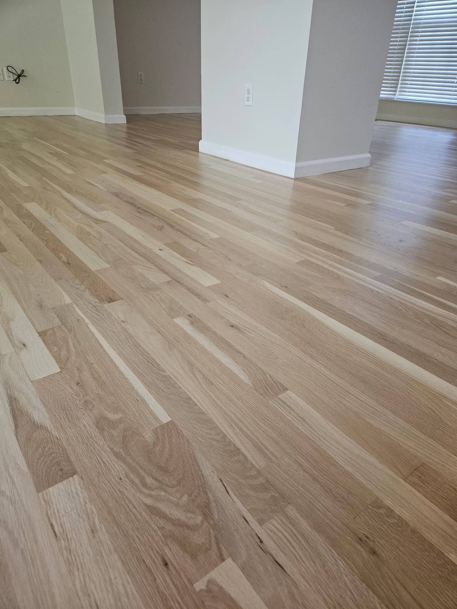 Empty room with light wood laminate flooring and white walls