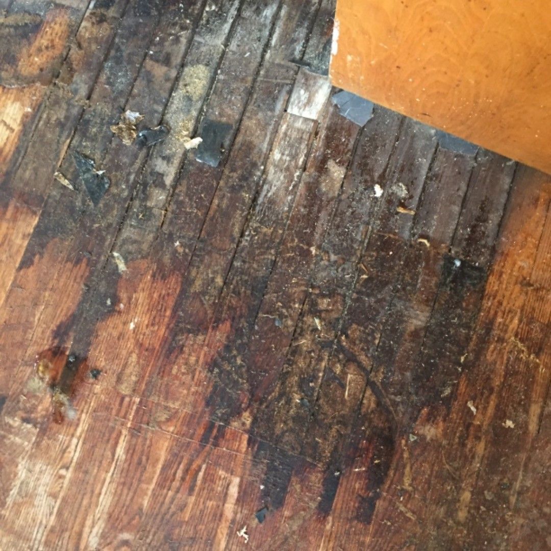 Damaged wooden floorboards with dark stains and an orange wall corner