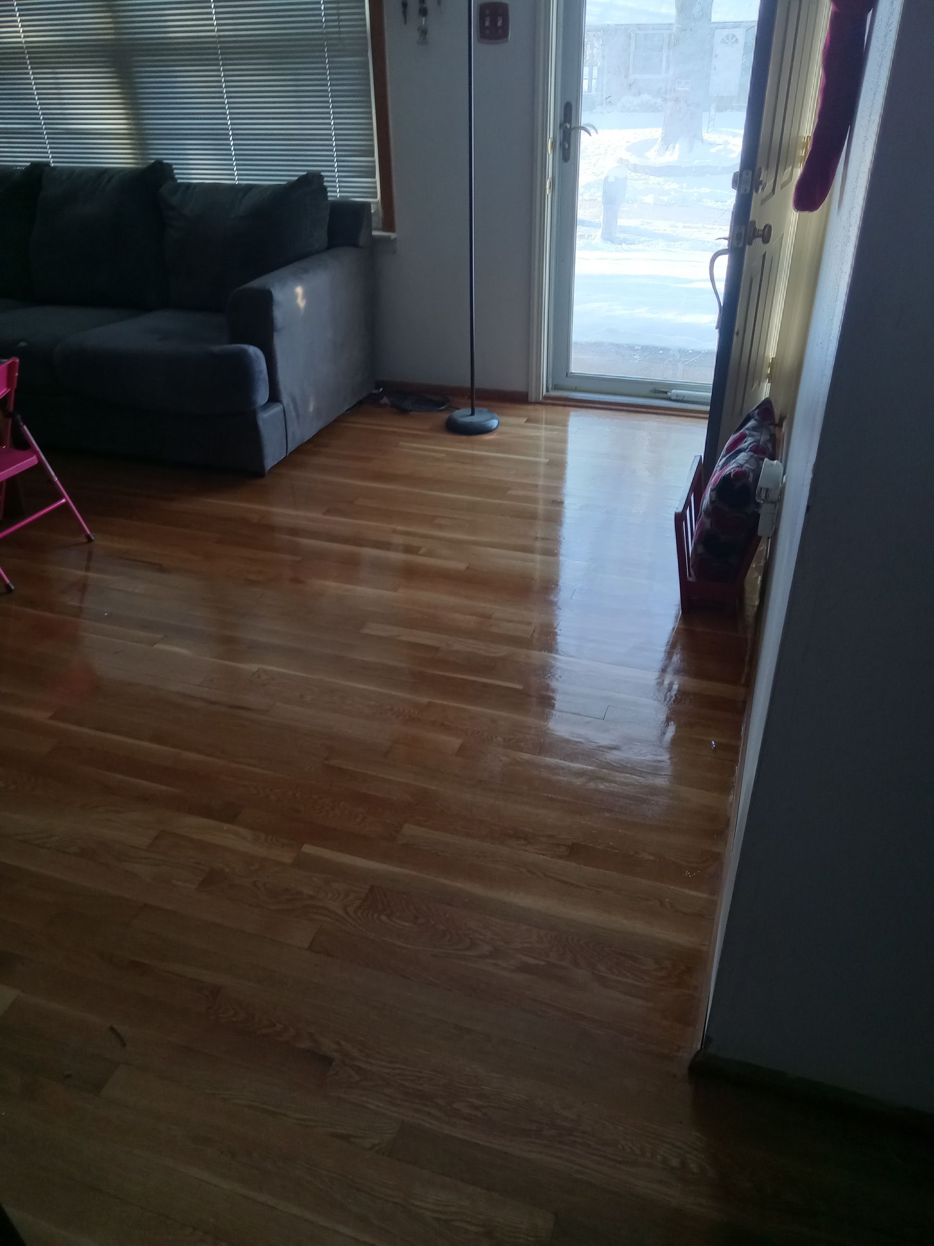 Living room with hardwood floors, dark couch, and sliding glass door with bright sunlight.