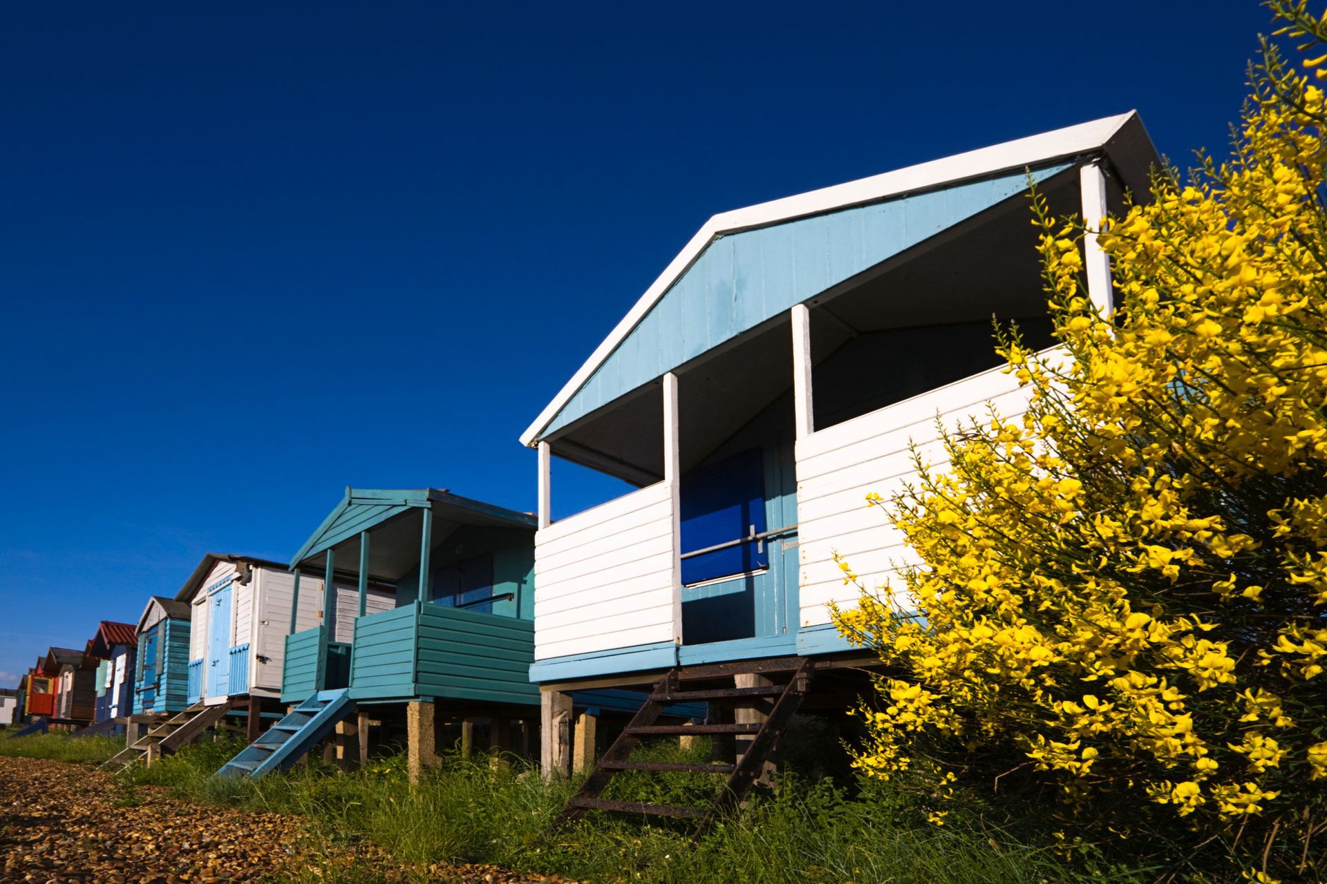 Colorful beach huts on stilts beside bright yellow flowers under a clear blue sky