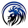 digital kings networking llc logo