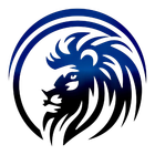 digital kings networking logo The logo for Digital Kings Networking - based out of Charlotte, NC