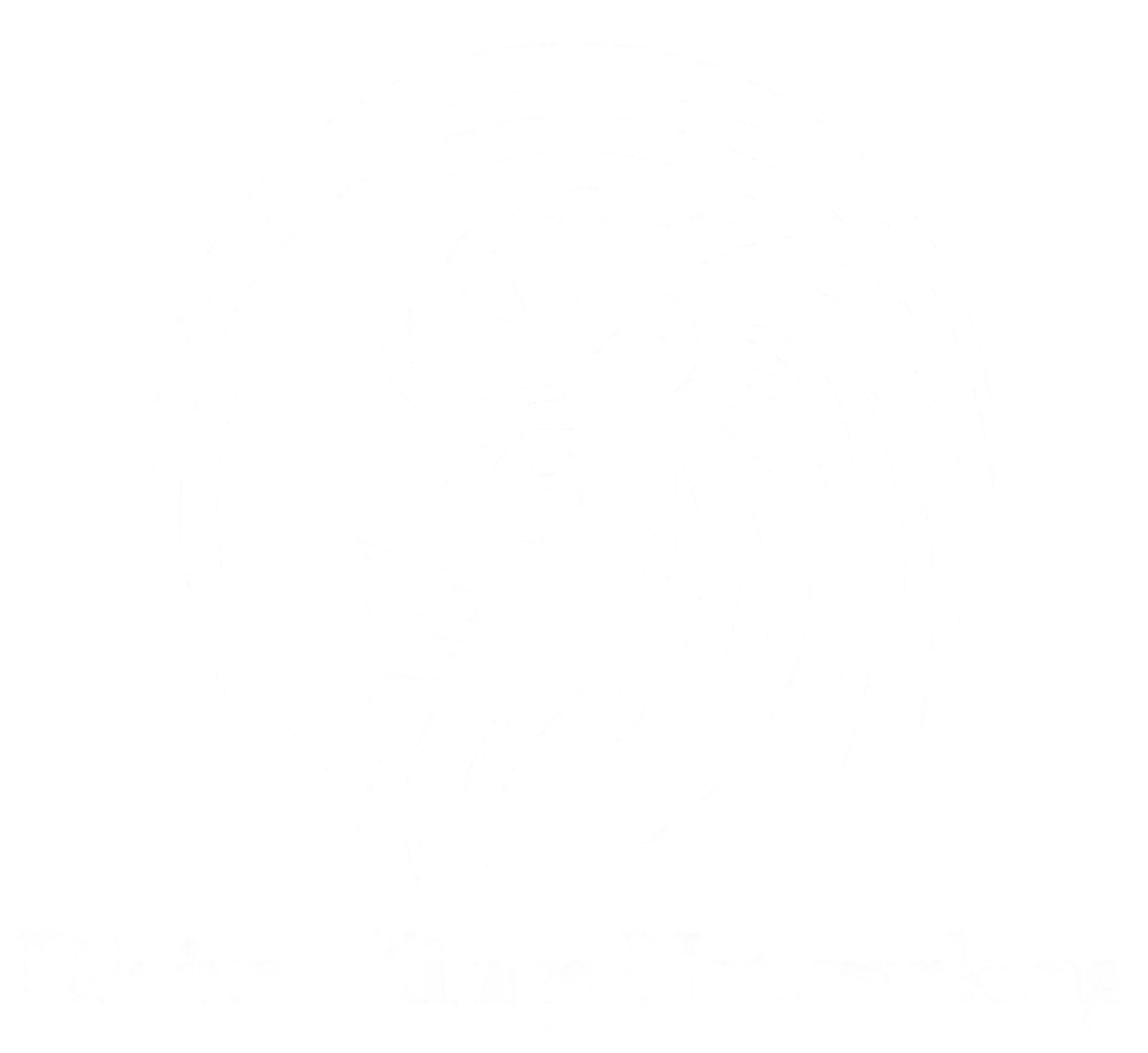digital kings networking logo digital kings networking logo