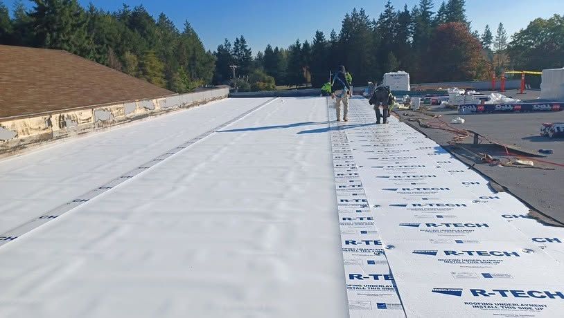 Flat rooftop with white waterproof membrane being installed beside a wooded area, with workers in the distance