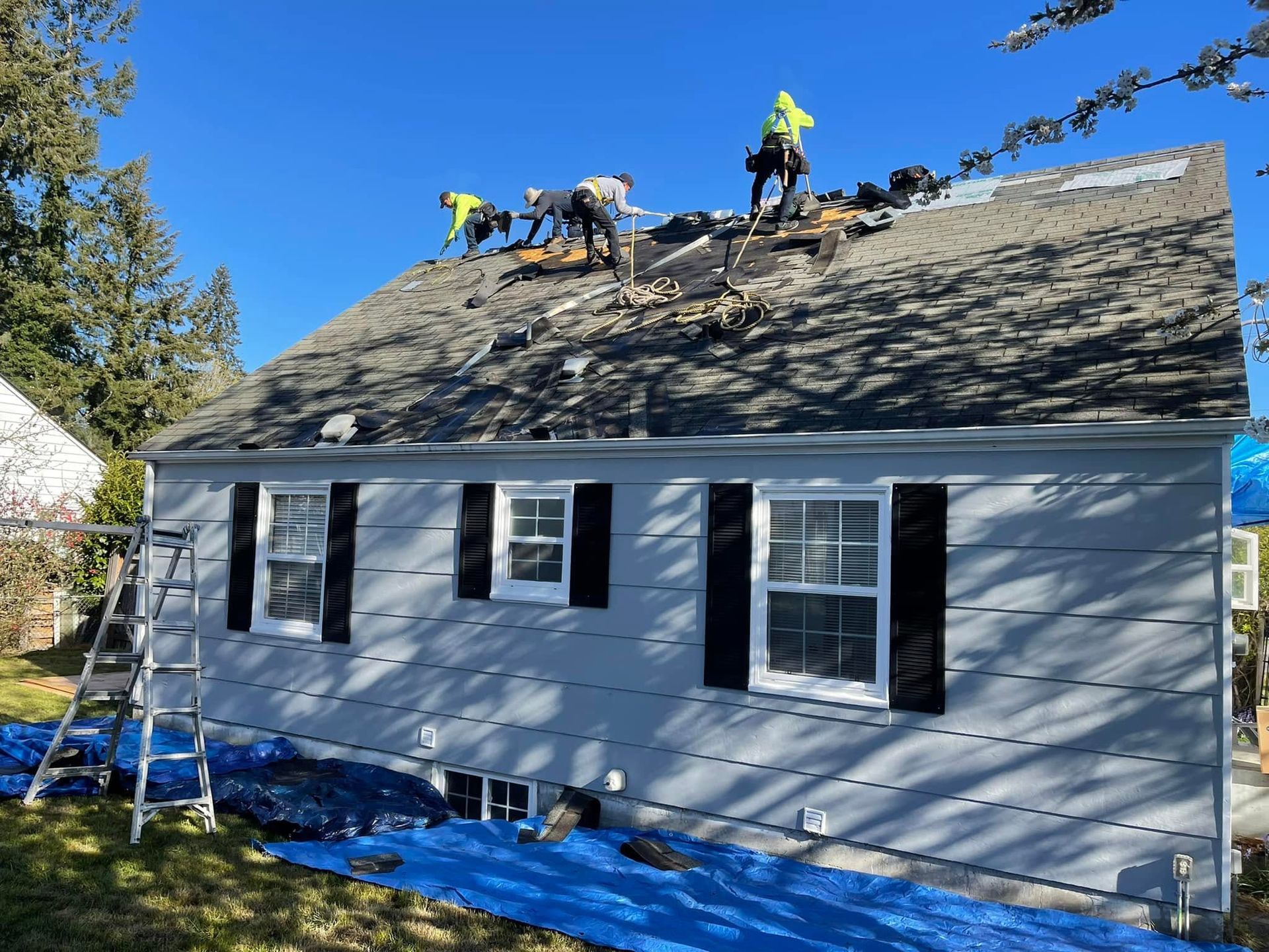 Workers on a roof replacing shingles on a gray house with blue trim and a ladder against the side.