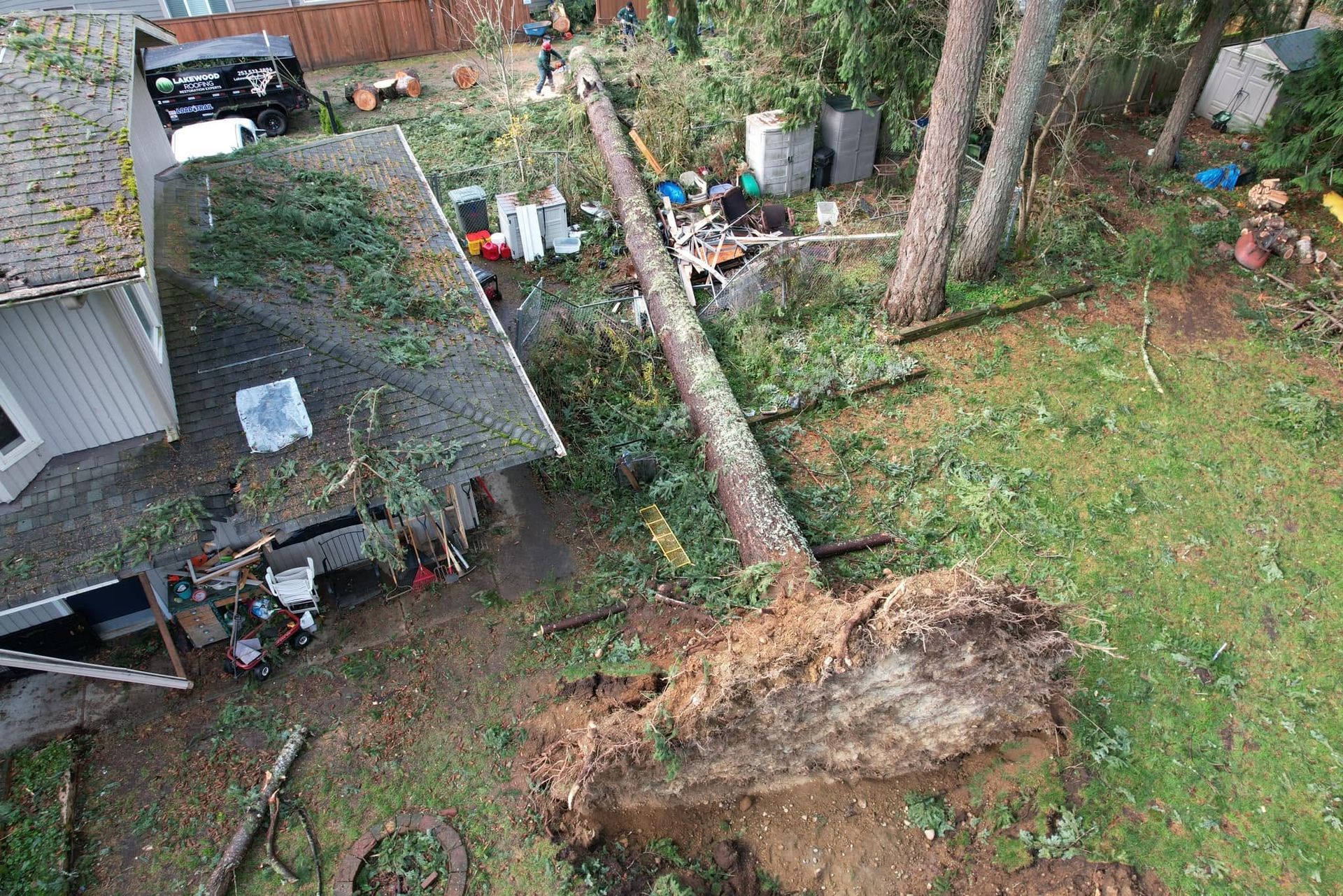 Backyard scene with a fallen tree leaning against a house and uprooted roots in the grass