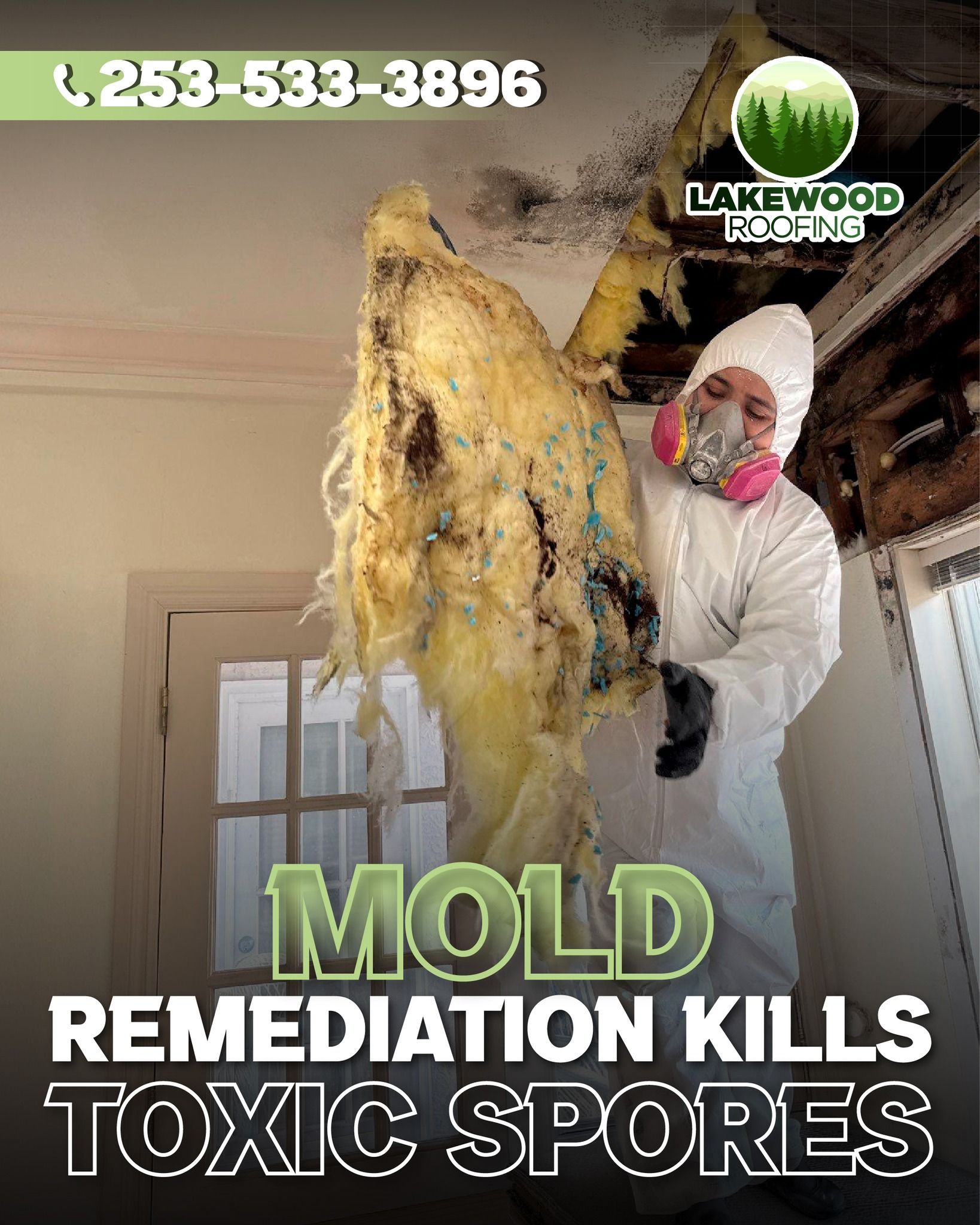 Technician in white suit removing moldy insulation; text reads “MOLD REMEDIATION KILLS TOXIC SPORES.”