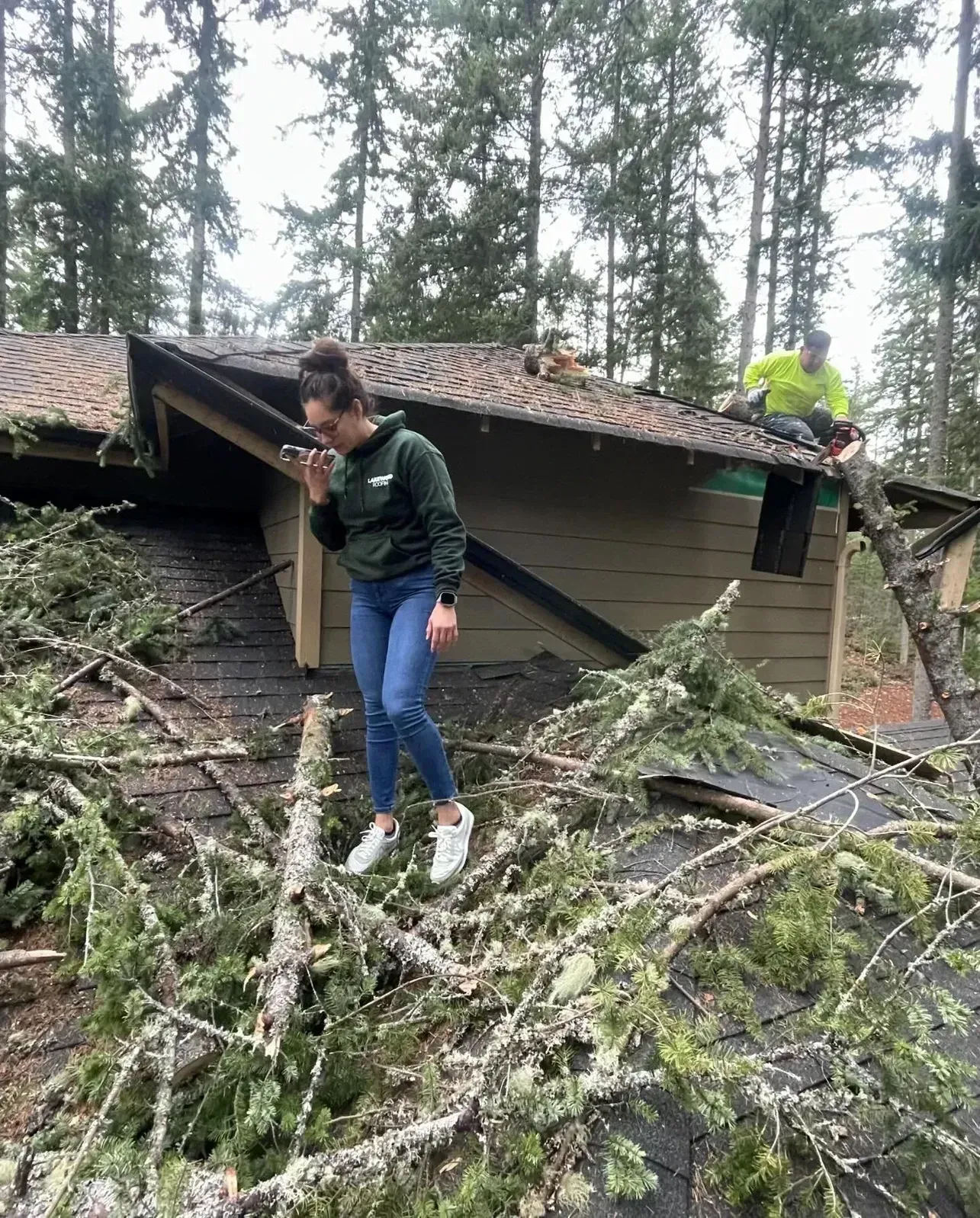 Person standing on fallen tree branches beside a damaged cabin in a forest