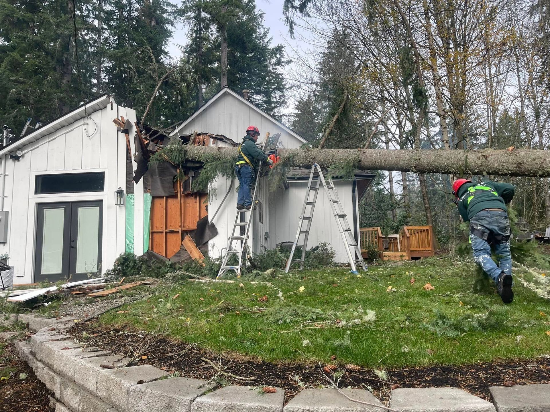 Workers cutting up a fallen tree beside a house, with ladders and chainsaws in a yard