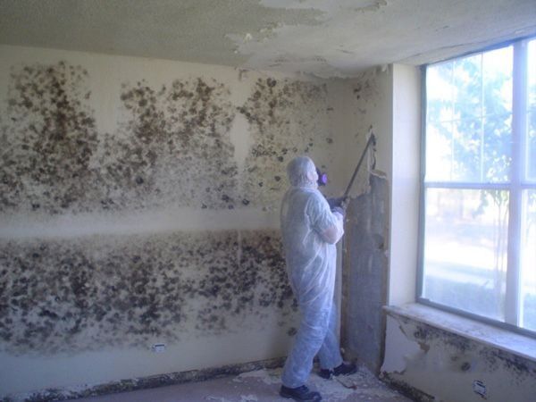 Worker in white protective suit spraying mold on a wall inside a room with a window.