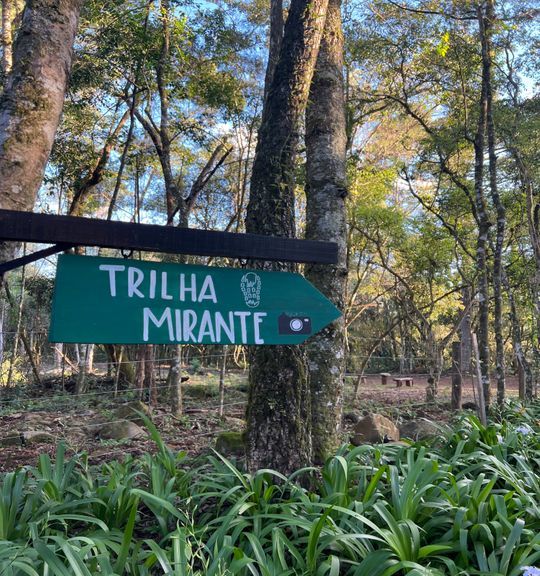 Uma placa verde na mata diz trilha mirante