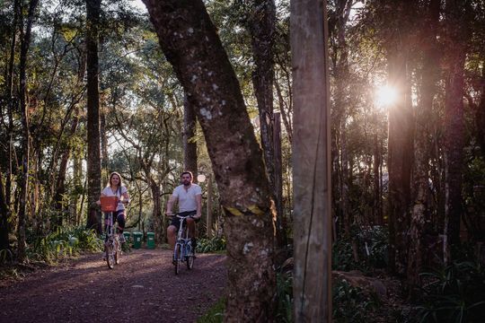 Um homem e uma mulher estão caminhando e andando de bicicleta na floresta.