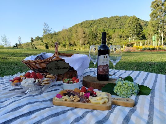 Uma toalha de piquenique com uma garrafa de vinho e uma cesta de comida.