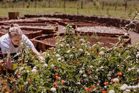 Uma mulher está colhendo flores em um jardim.
